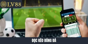 Đọc kèo bóng đá