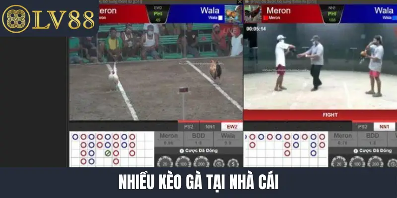 Nhiều kèo gà tại nhà cái