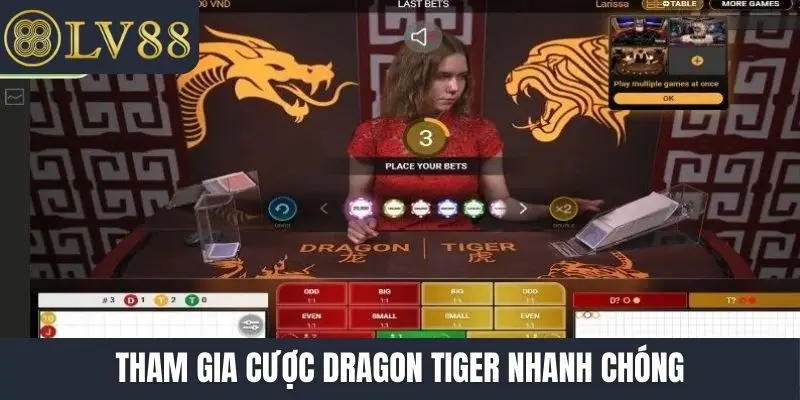 Tham gia cược Dragon Tiger nhanh chóng
