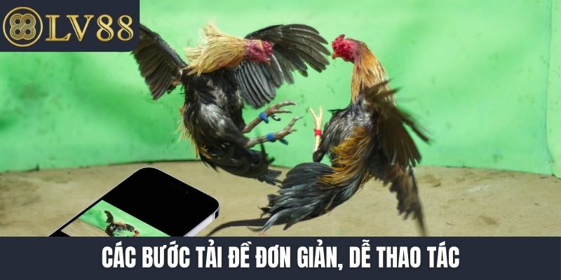 Các bước tải đề đơn giản, dễ thao tác